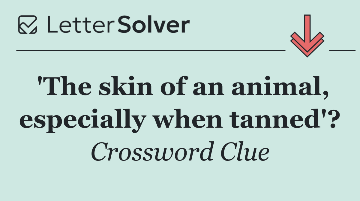 'The skin of an animal, especially when tanned'?