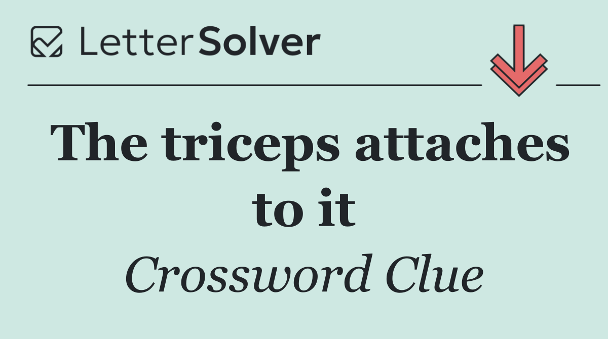 The triceps attaches to it