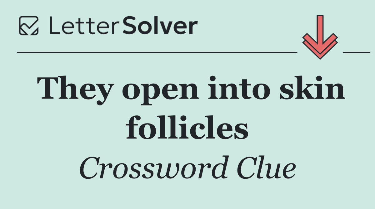 They open into skin follicles