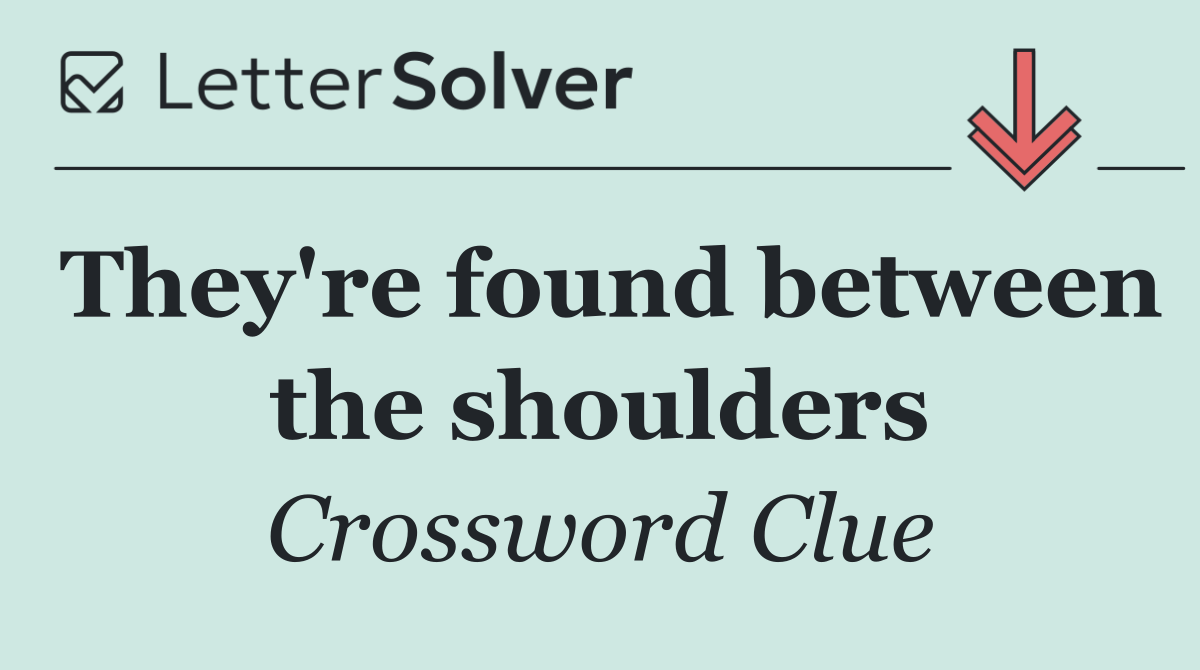 They're found between the shoulders