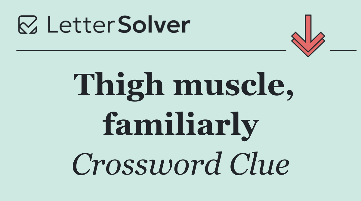 Thigh muscle, familiarly