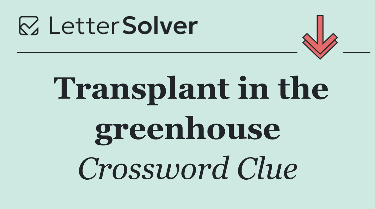 Transplant in the greenhouse