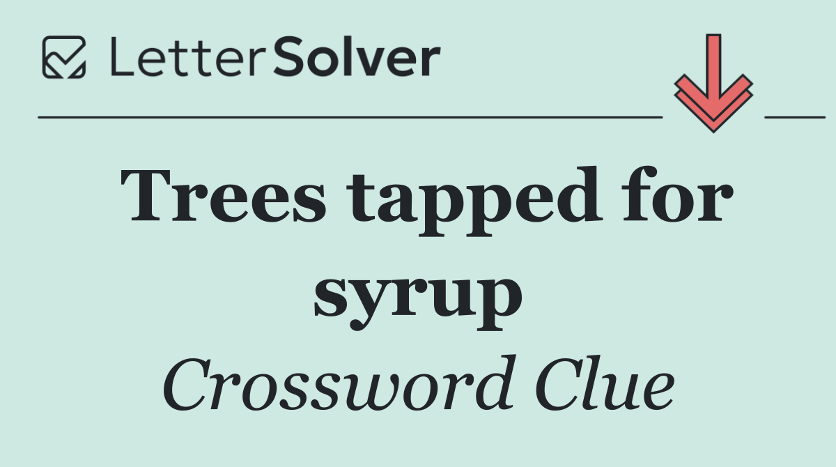 Trees tapped for syrup