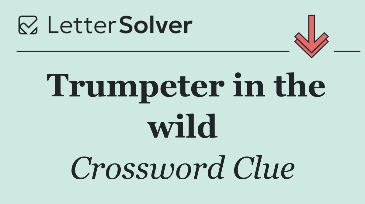 Trumpeter in the wild