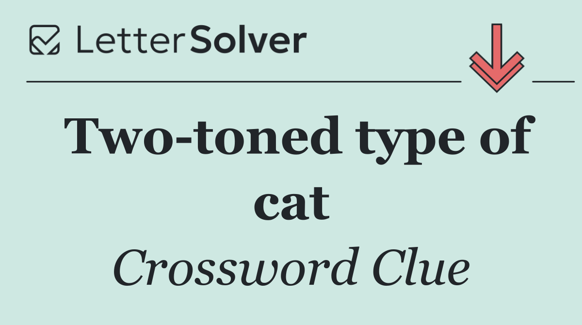 Two toned type of cat