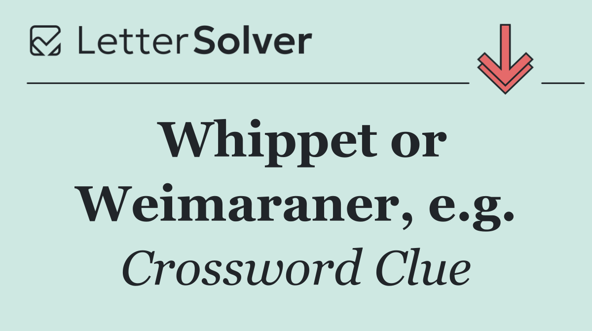 Whippet or Weimaraner, e.g.