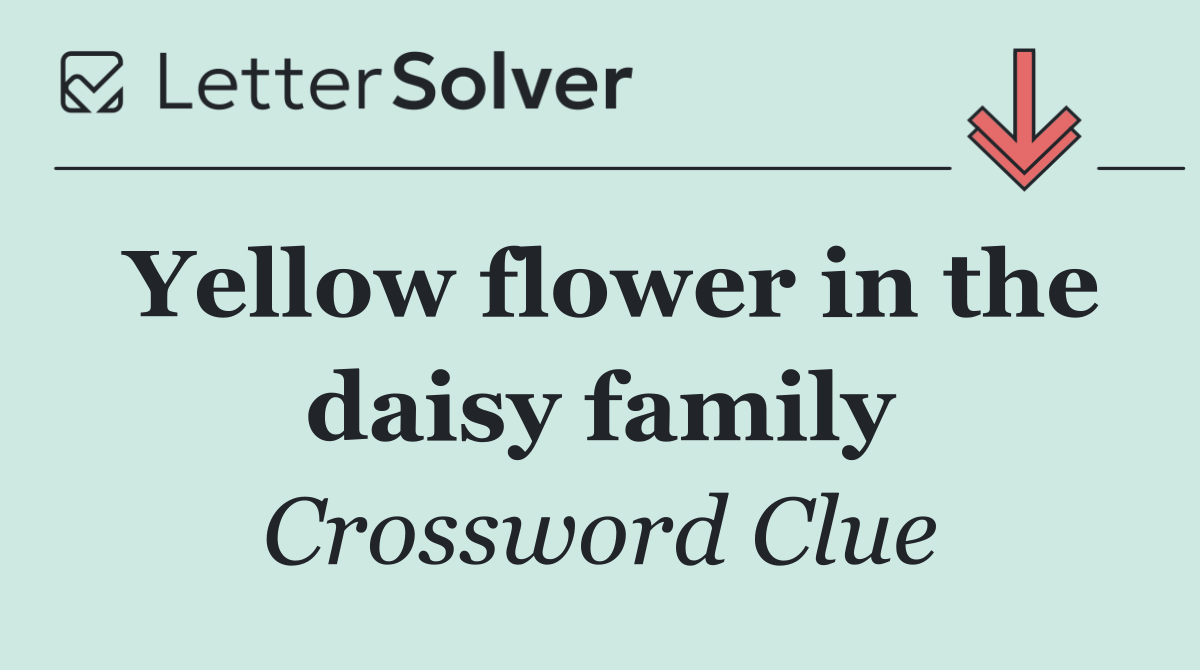 Yellow flower in the daisy family