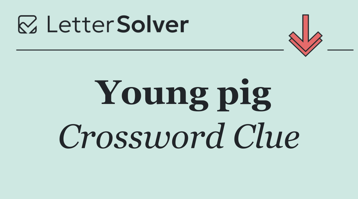 Young pig